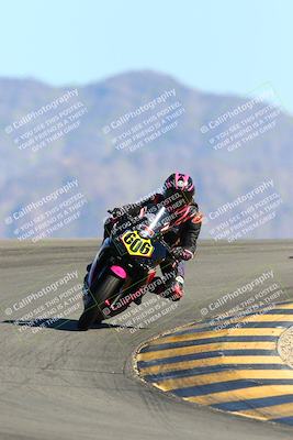 media/Feb-13-2022-SoCal Trackdays (Sun) [[c9210d39ca]]/Turn 12 (1pm)/